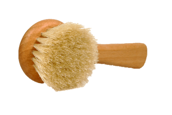 Mushroom Cleaning Brush - Kitchen Sink Utensil by Valentino Garemi - valentinogaremi-usa