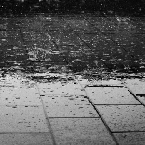 How do you 2025 dry wet shoes