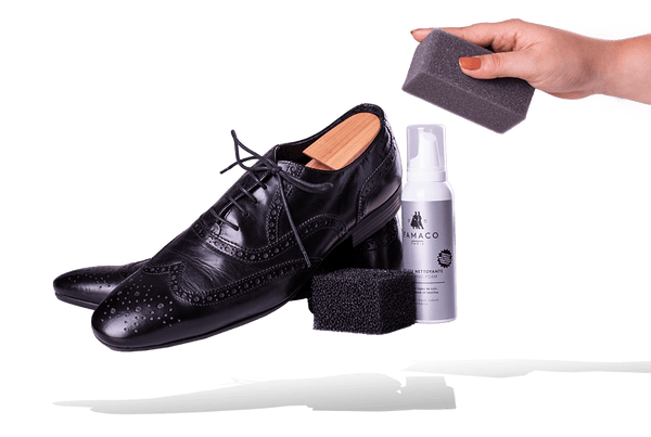 Famaco Shoe Cleaning Set - For Leather & Tex Materials Made in France - valentinogaremi-usa