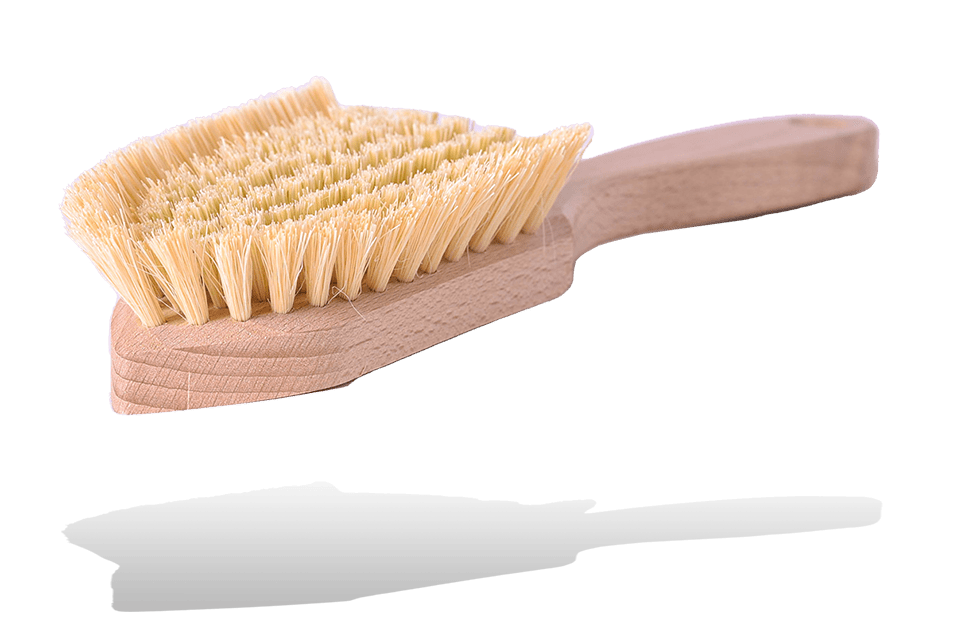 Valentino Garemi Scrub Cleaning Brush