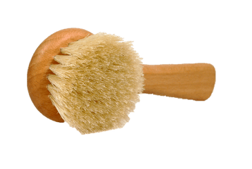 mushroom_20brush_20garemi_20valentino_20VG_fb3a22bb-5593-4699-ac7f-68276d15a591.png